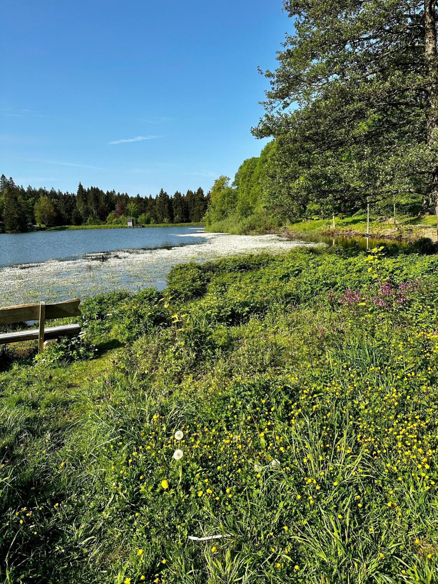 Ferienwohnung Waldgaenger Hahnenklee Гослар Екстериор снимка