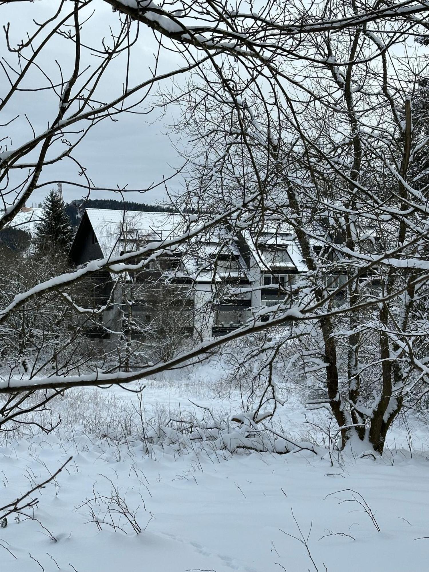 Ferienwohnung Waldgaenger Hahnenklee Гослар Екстериор снимка