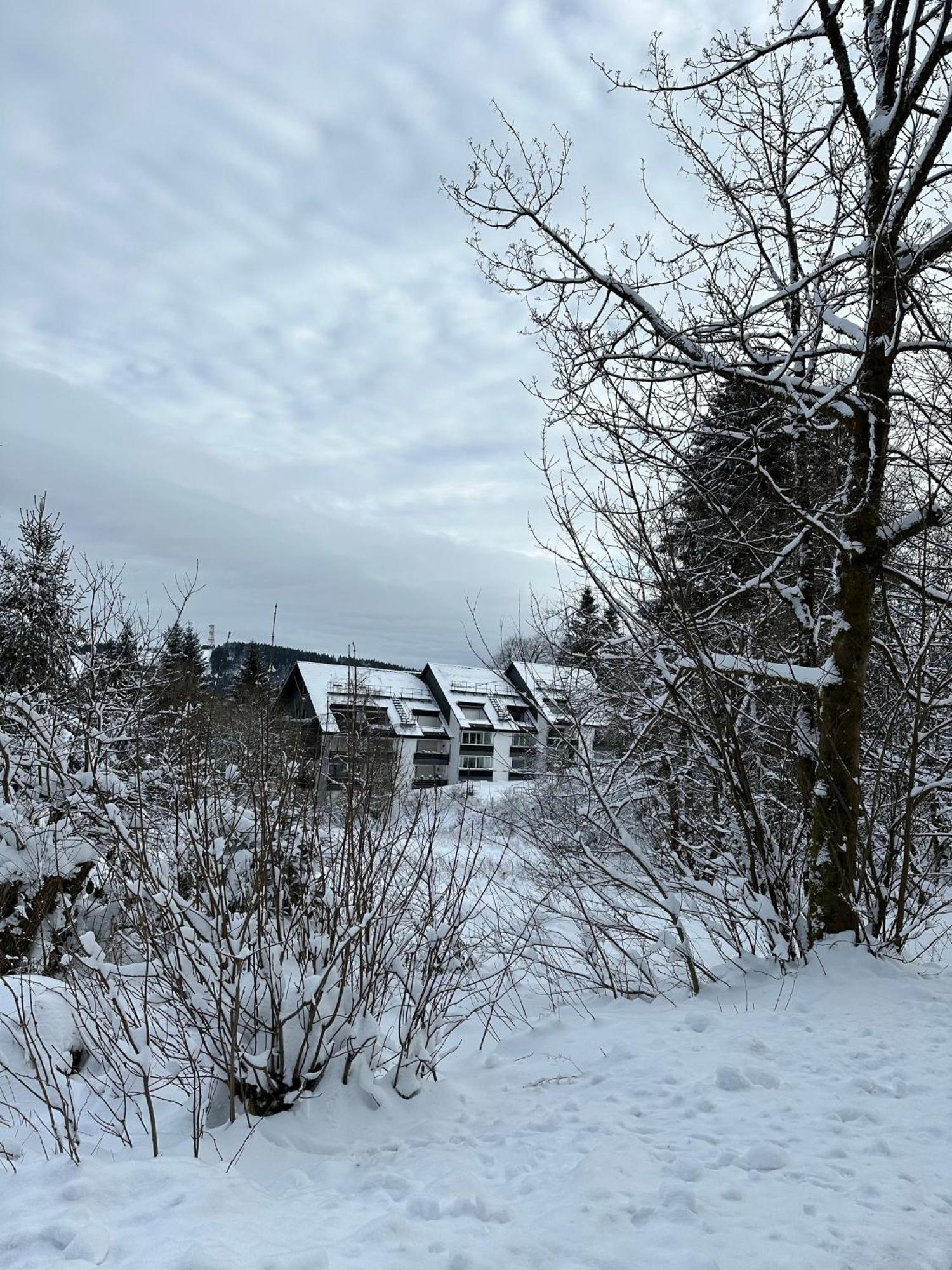 Ferienwohnung Waldgaenger Hahnenklee Гослар Екстериор снимка